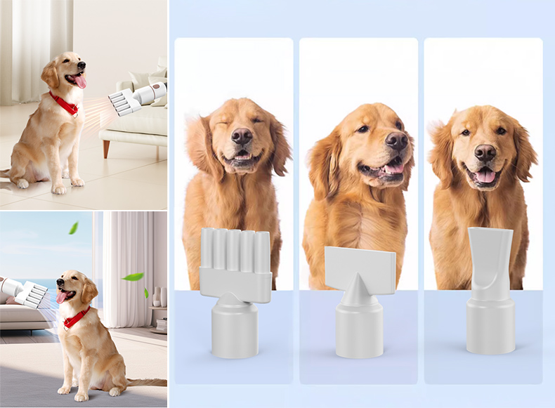 Pet Grooming Tools